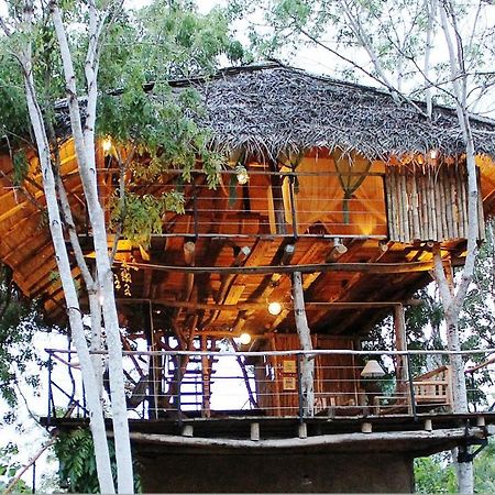 The Saraii Tree Lodge Tissamaharama Dış mekan fotoğraf