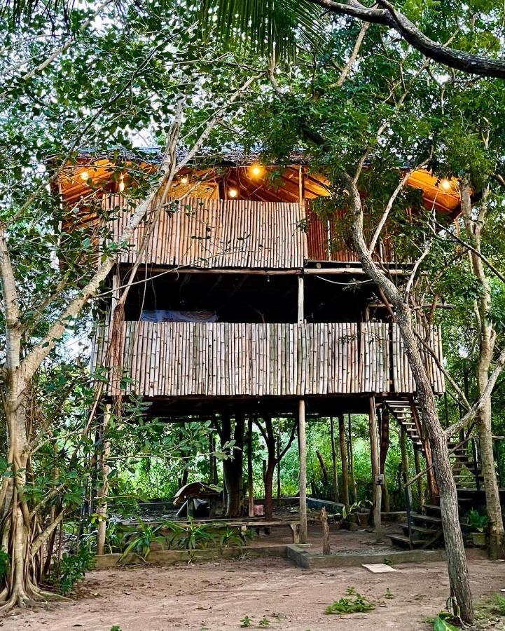 The Saraii Tree Lodge Tissamaharama Dış mekan fotoğraf
