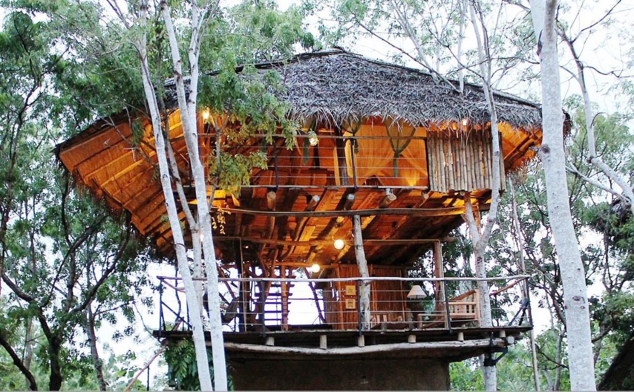 The Saraii Tree Lodge Tissamaharama Dış mekan fotoğraf